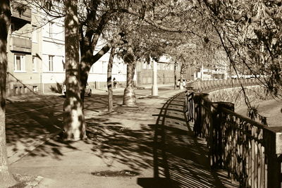 Walkway along trees in park