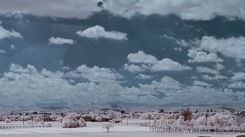 Flock of birds on landscape against sky