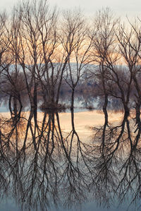 Bare trees by lake against sky during sunset