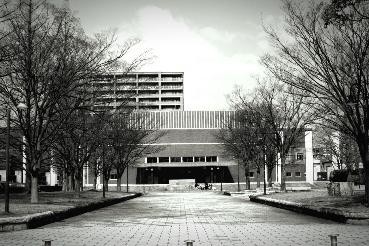 architecture, building exterior, built structure, tree, city, outdoors, no people, sky, bare tree, facade, day