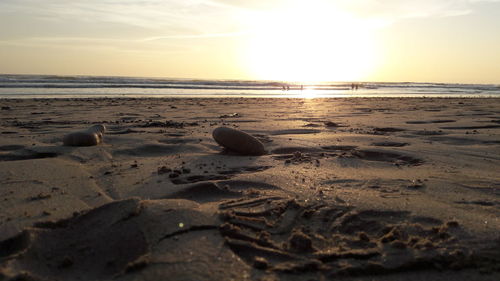 Close-up of sand at beach against sky during sunset