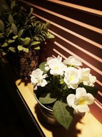 High angle view of flower bouquet