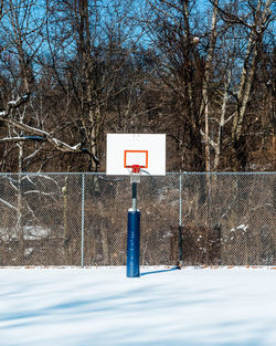 Basketball court against bare trees