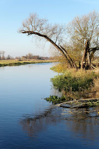 Scenic view of lake against clear sky
