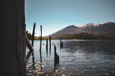 Wooden posts in lake against clear sky