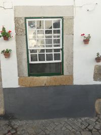 Potted plants on window