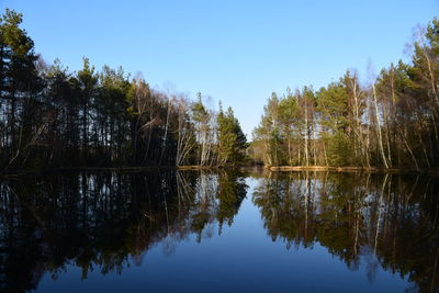 Reflection of trees in lake against sky