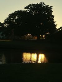 Reflection of trees in river