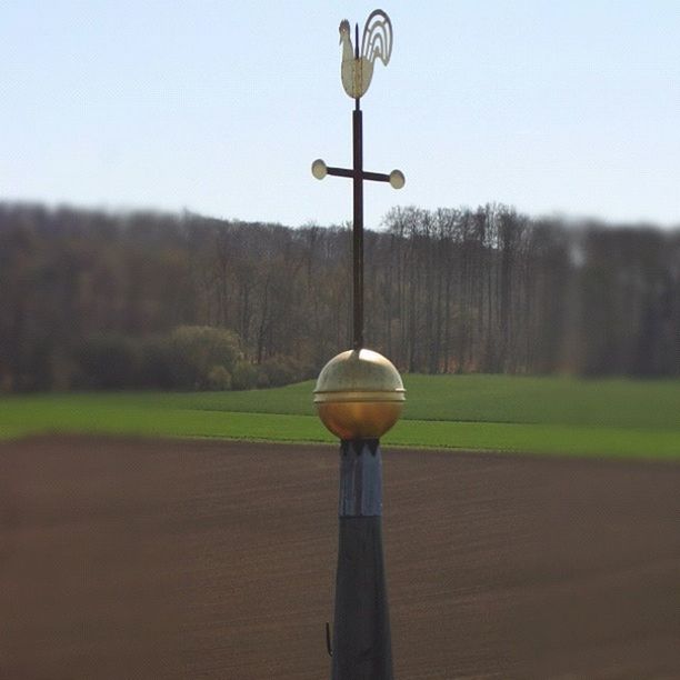 focus on foreground, street light, clear sky, lighting equipment, tree, sky, pole, landscape, field, nature, close-up, outdoors, tranquility, grass, day, tranquil scene, no people, copy space, selective focus, beauty in nature