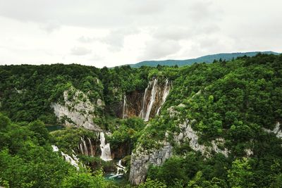 Scenic view of trees and mountains against sky