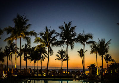 Silhouette palm trees by swimming pool against sky during sunset