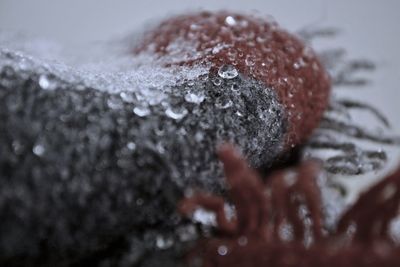 Close-up of woman hand in water