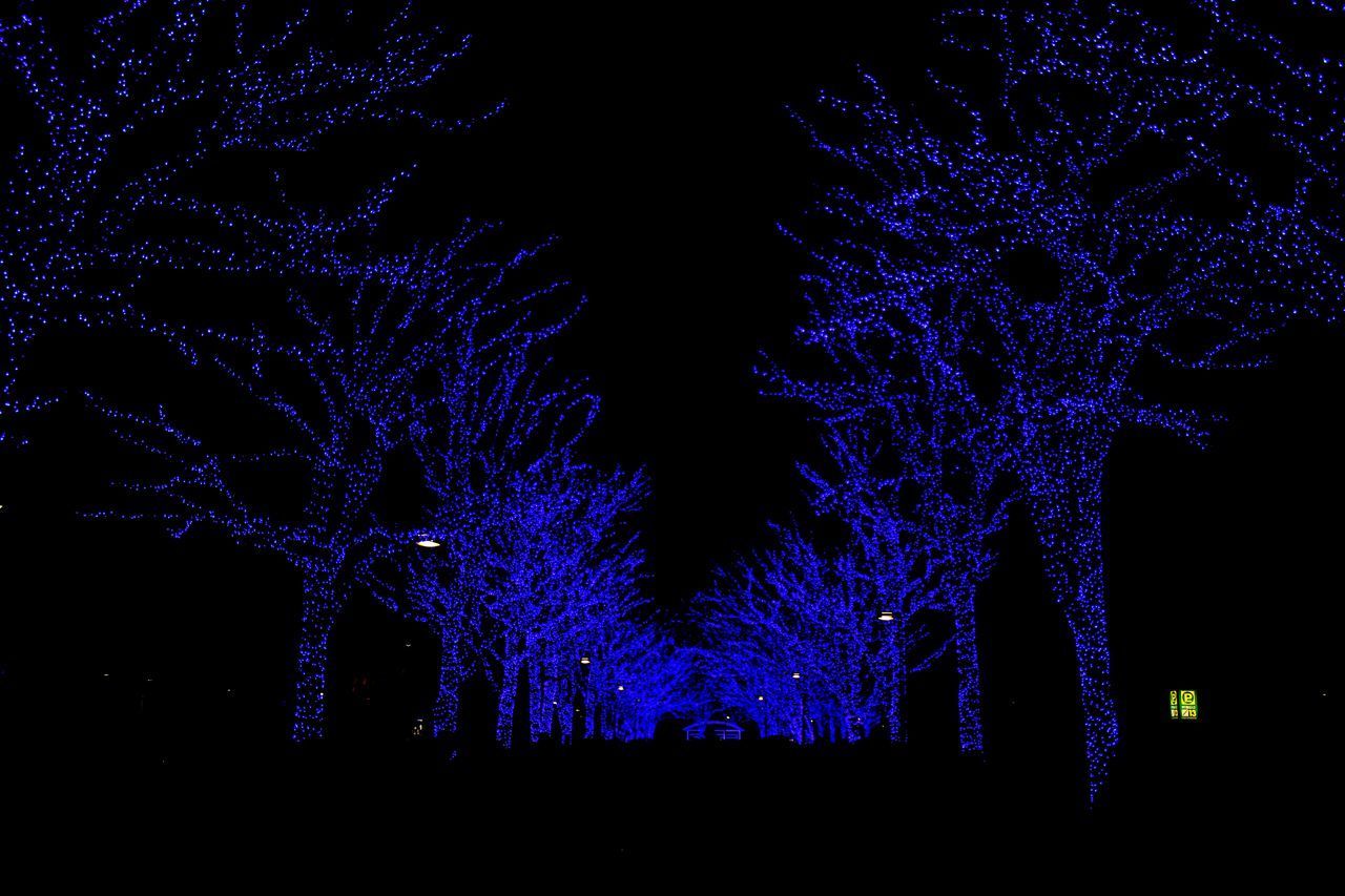 ILLUMINATED CHRISTMAS TREE AGAINST SKY