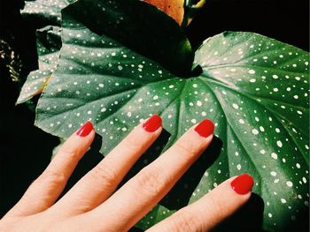 Close-up of hand on wet leaves