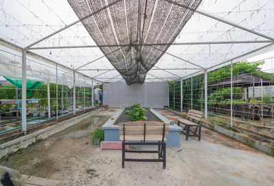 Empty benches in greenhouse