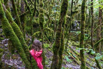 Little red riding hood lost in a dark scary and mysterious forest