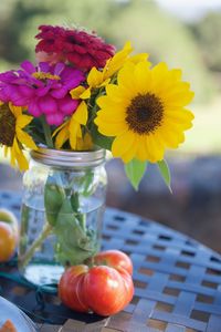 Close-up of yellow flowers on table