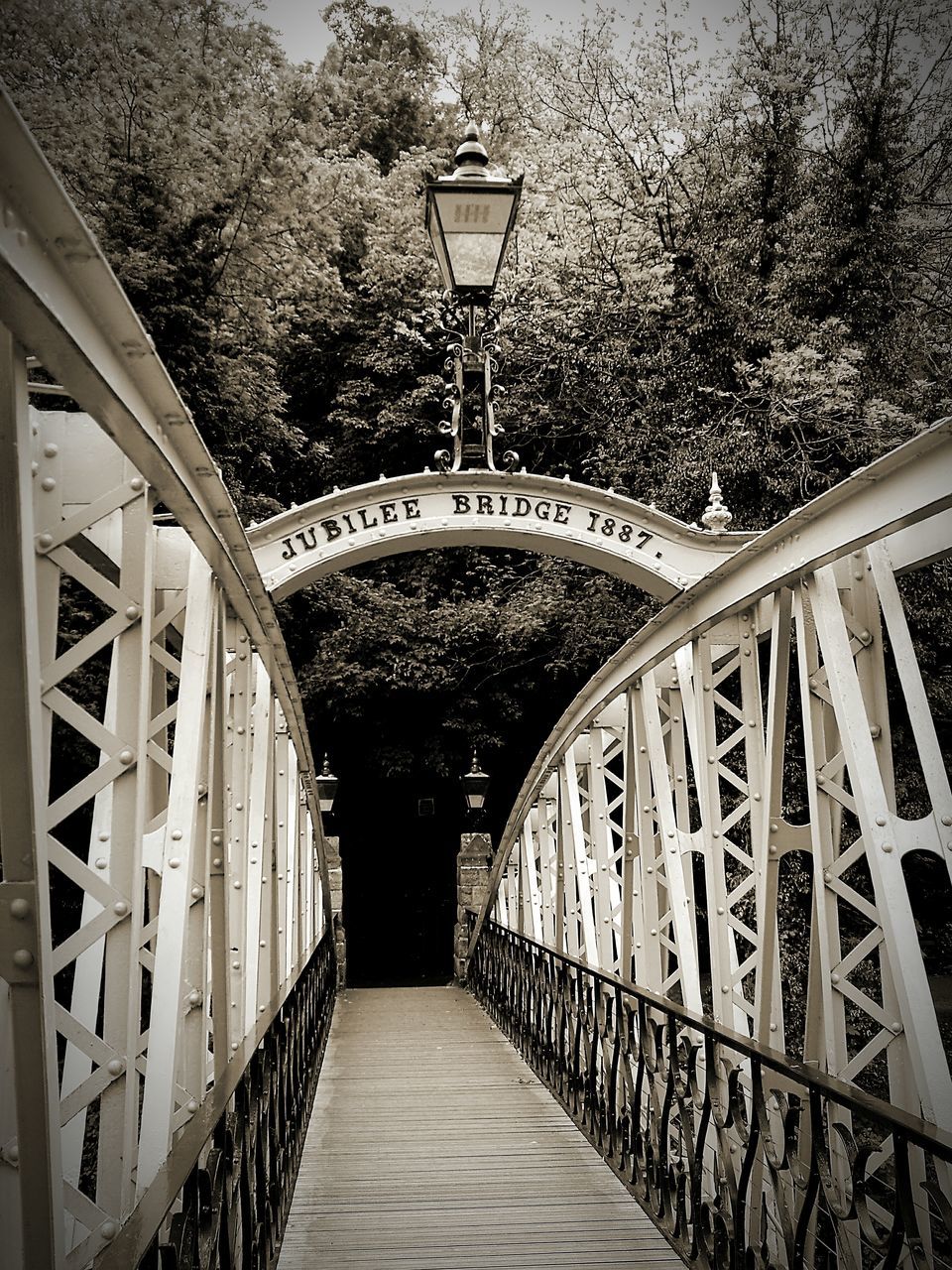 the way forward, built structure, architecture, connection, diminishing perspective, bridge - man made structure, railing, vanishing point, footbridge, long, empty, transportation, tree, walkway, narrow, arch, no people, day, ceiling, lighting equipment