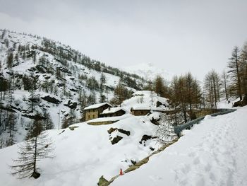 Snow covered land and trees against sky in gran paradiso national park, italy. 