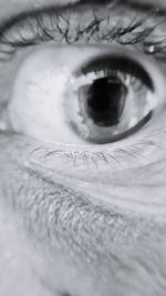 Extreme close up of human eye