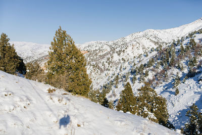 Landscape at the beldersay ski resort in the tien shan mountains in uzbekistan in winter