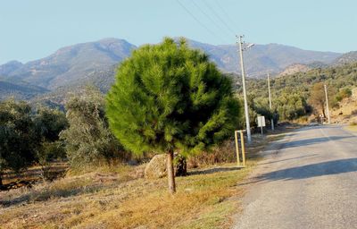 Road amidst plants and mountains against sky