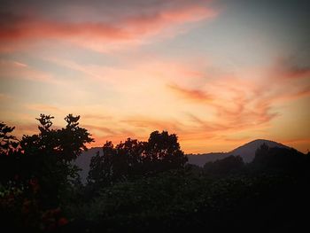 Silhouette trees against sky during sunset