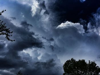 Low angle view of tree against cloudy sky