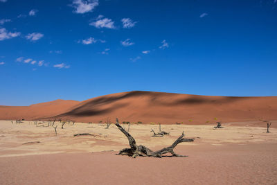 Scenic view of desert against blue sky