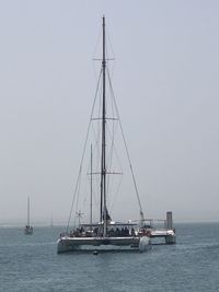 Sailboat sailing on sea against clear sky