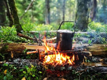 Bonfire on wooden structure in forest