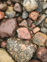 High angle view of stones