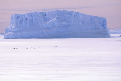 Iceberg at dusk