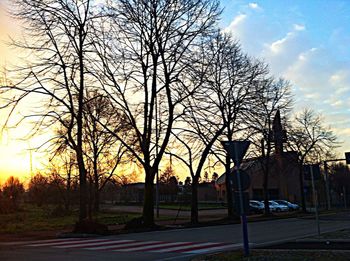 Bare trees against sky at sunset