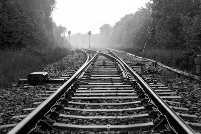 Railroad tracks amidst trees on field during foggy weather