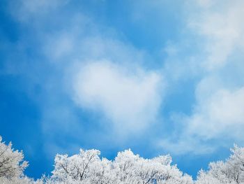 Low angle view of snow against blue sky