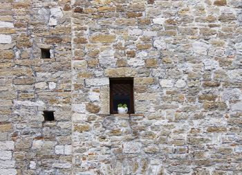 Low angle view of potted plant on window amidst stone wall