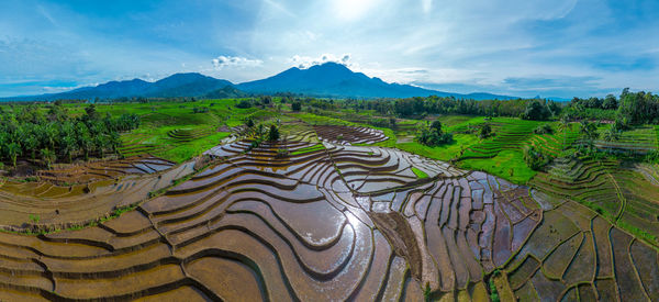 Scenic view of landscape against sky