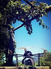 Low angle view of trees against blue sky