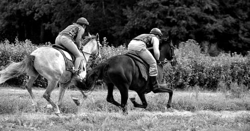 Horses riding horse on field