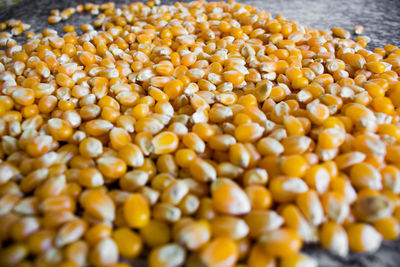 High angle view of eggs in container