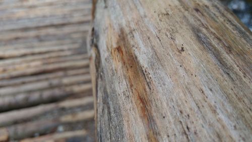 Close-up of wooden plank