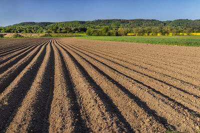 Plowed soil for planting potatoes, visible even rows of soil and sharp shadow of the sun.