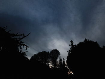 Low angle view of trees against cloudy sky