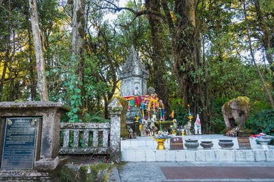 Statue by trees against plants