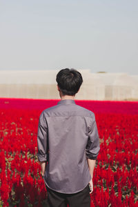 Rear view of man standing on red field against sky