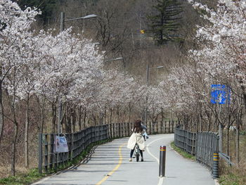 Rear view of woman walking on road amidst flowering plants