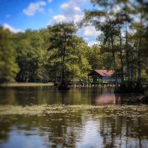 Scenic view of lake against trees