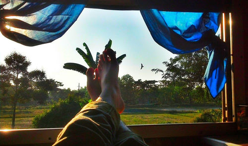 Low section of man by tree against sky seen through window