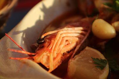 Close-up of fish in plate on table
